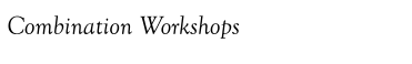 Combination Workshops